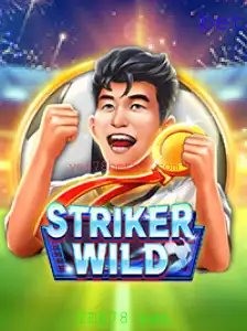 Descubra o Mundo Emocionante de StrikerWILD e Entenda as Regras do Jogo